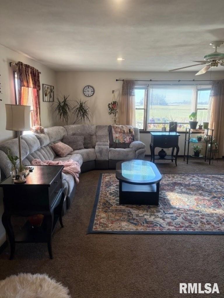 10616 East Freesia Road Mount Vernon, IL 62864 - Photo 17 of 27 Gallery Image 17