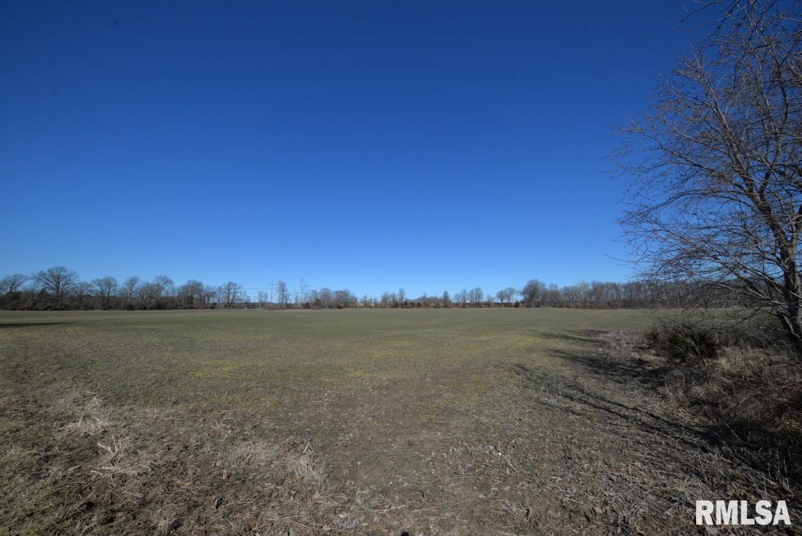 10616 East Freesia Road Mount Vernon, IL 62864 - Photo 9 of 27 Gallery Image 9