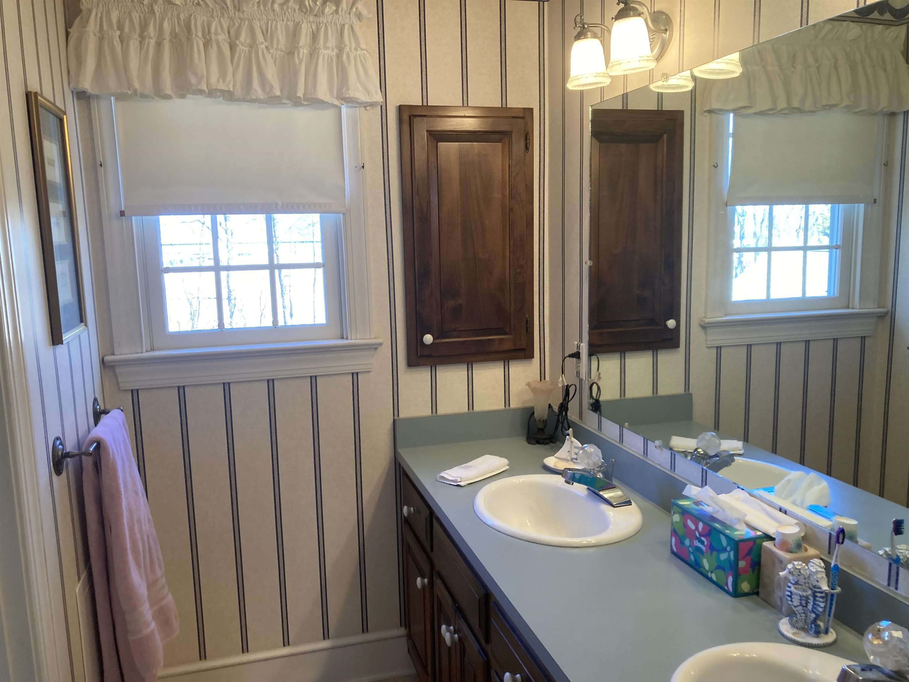 36 Spring Court Waynesboro, VA 22980 - Photo 34 of 72 a bathroom with a sink vanity and a mirror