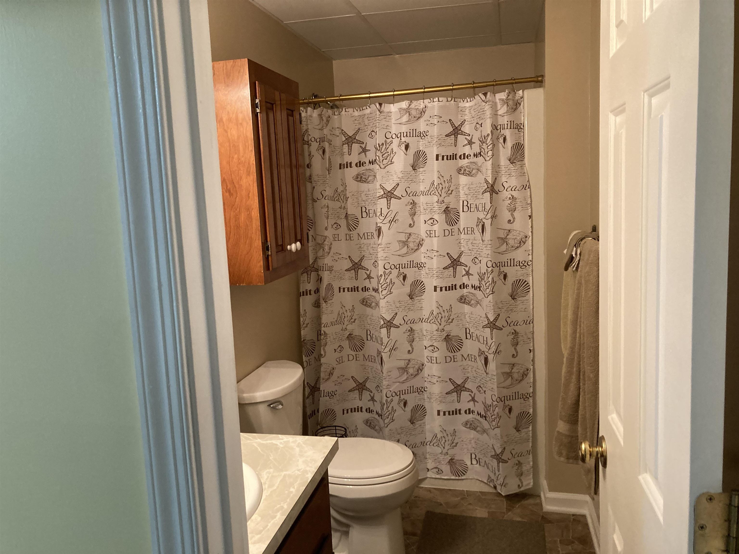 36 Spring Court Waynesboro, VA 22980 - Photo 51 of 72 a white toilet sitting next to a shower curtain