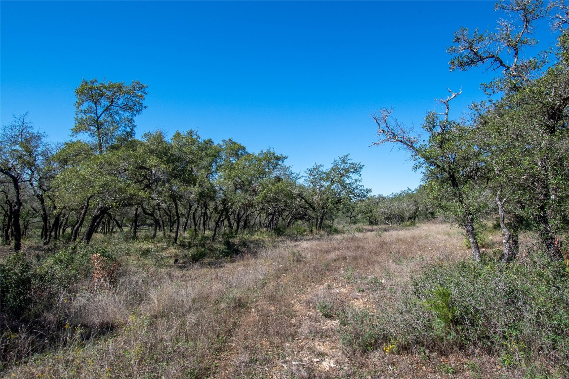 2910 Fall Creek Road Spicewood, TX 78669 - Photo 26 of 39