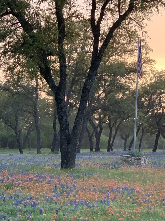 2910 Fall Creek Road Spicewood, TX 78669 - Photo 27 of 39