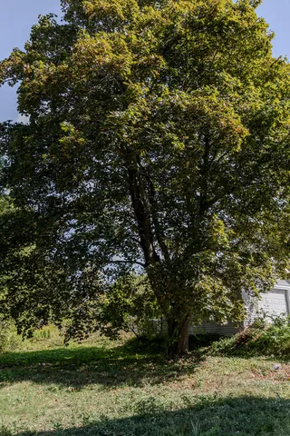 $360,000 | 40 Pendleton Street, Brewer, ME 04412