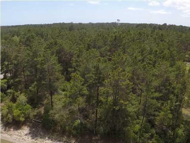 244 River Road Carrabelle, FL 32322 - Photo 8 of 8 Gallery Image 8