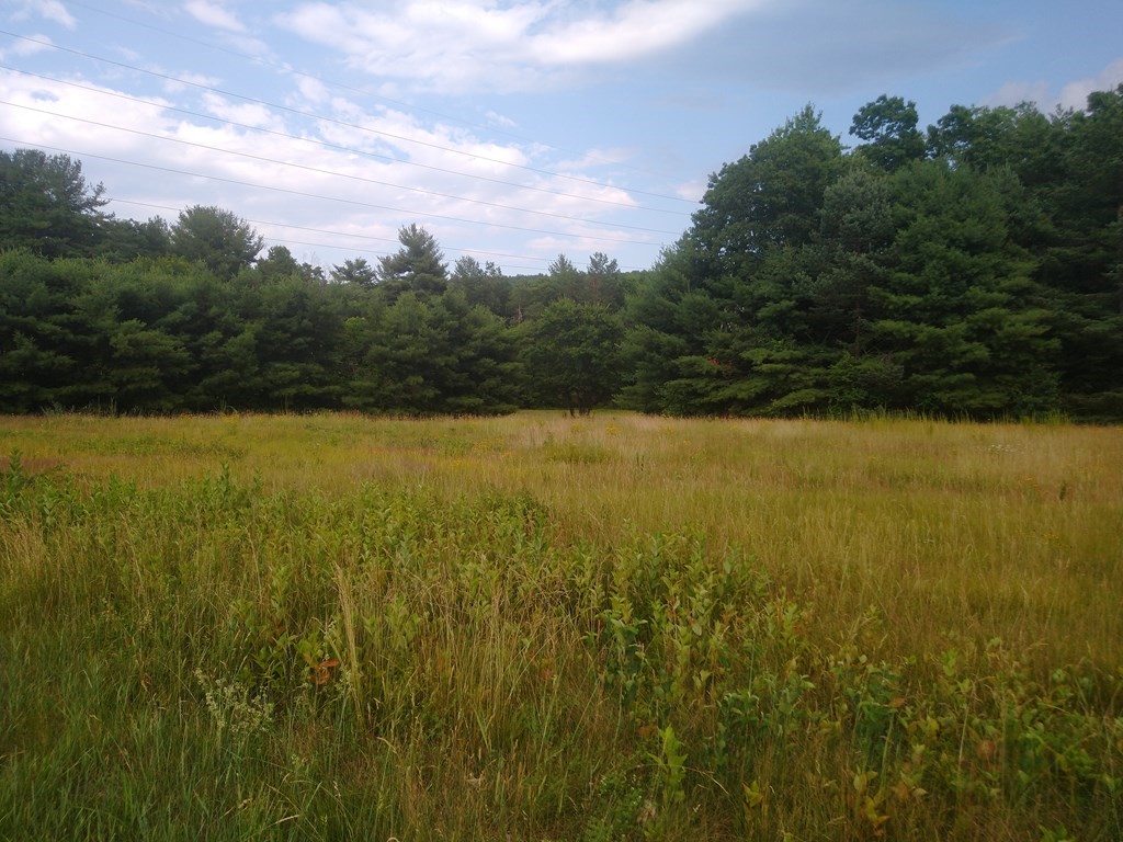 91 Greenwich Road Ware, MA 01082 - Photo 16 of 25