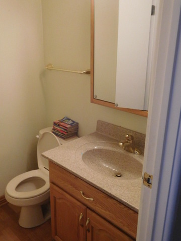 450 Rothbury Drive Bolingbrook, IL 60440 - Photo 2 of 15 a bathroom with a sink and a toilet