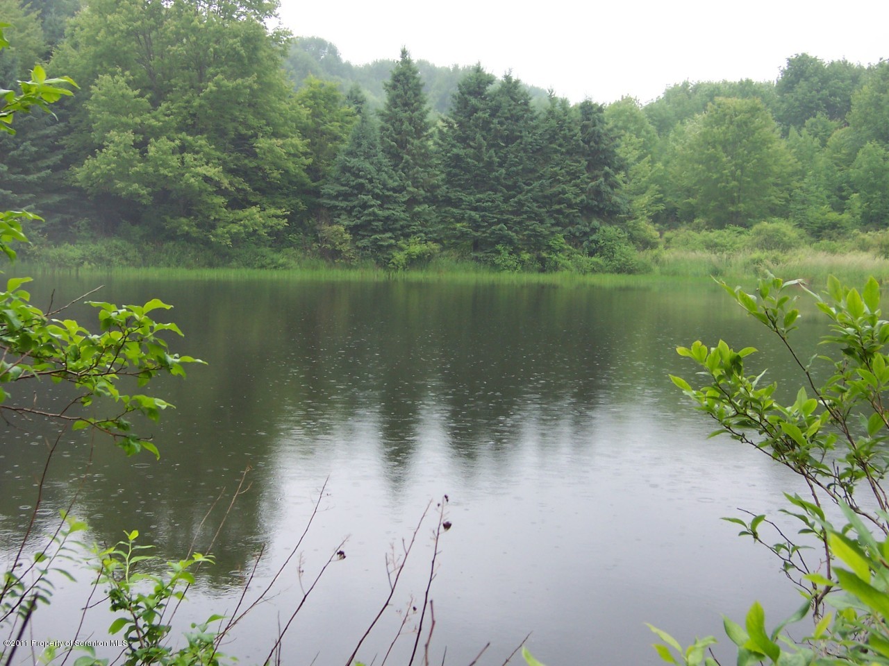 Twp Rd 678 Snyder Road New Milford, PA 18834 - Photo 1 of 3 Pond