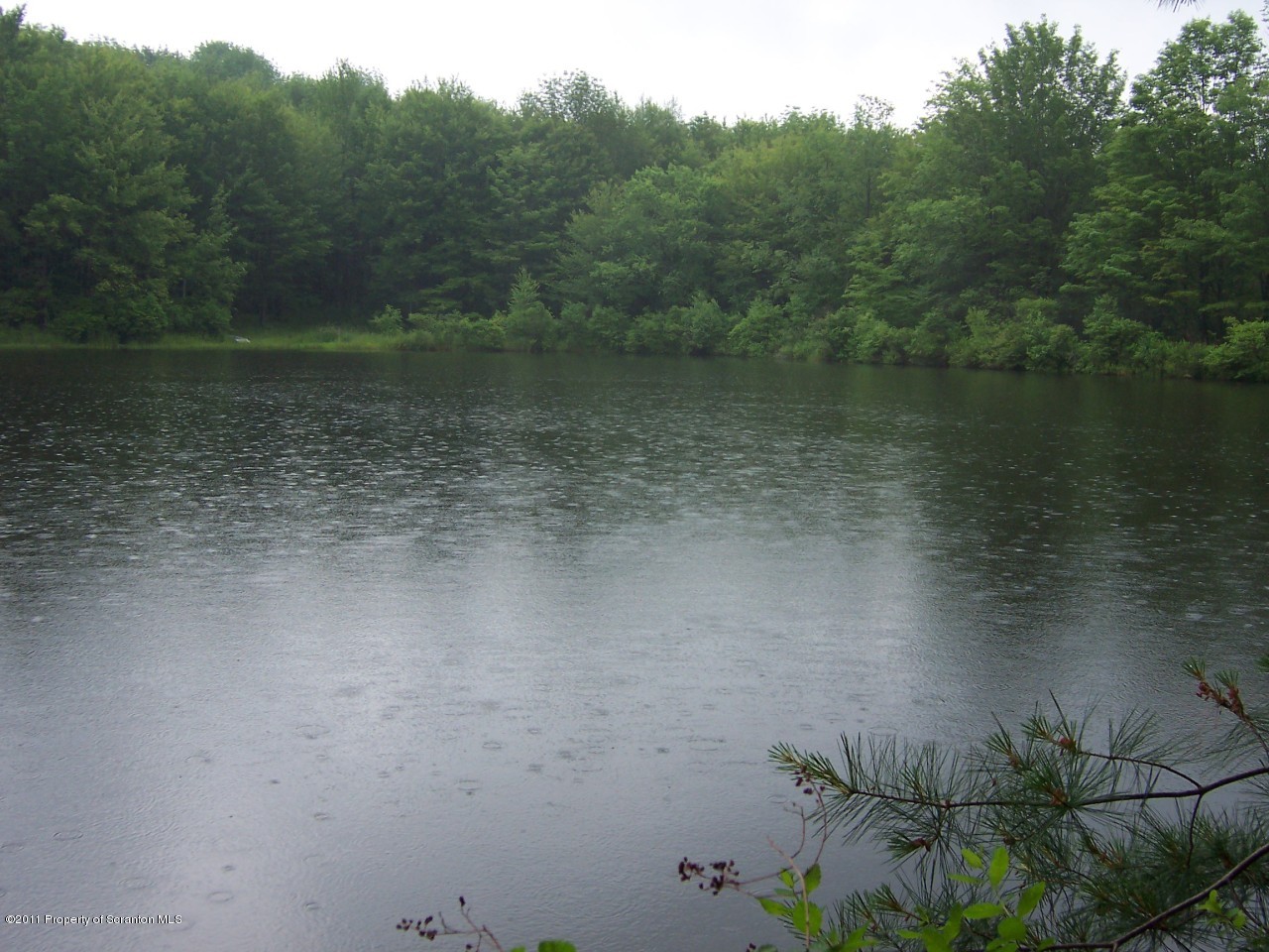 Twp Rd 678 Snyder Road New Milford, PA 18834 - Photo 2 of 3 Pond