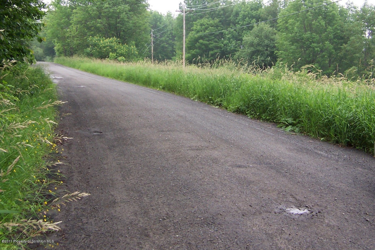 Twp Rd 678 Snyder Road New Milford, PA 18834 - Photo 3 of 3 Roadfront