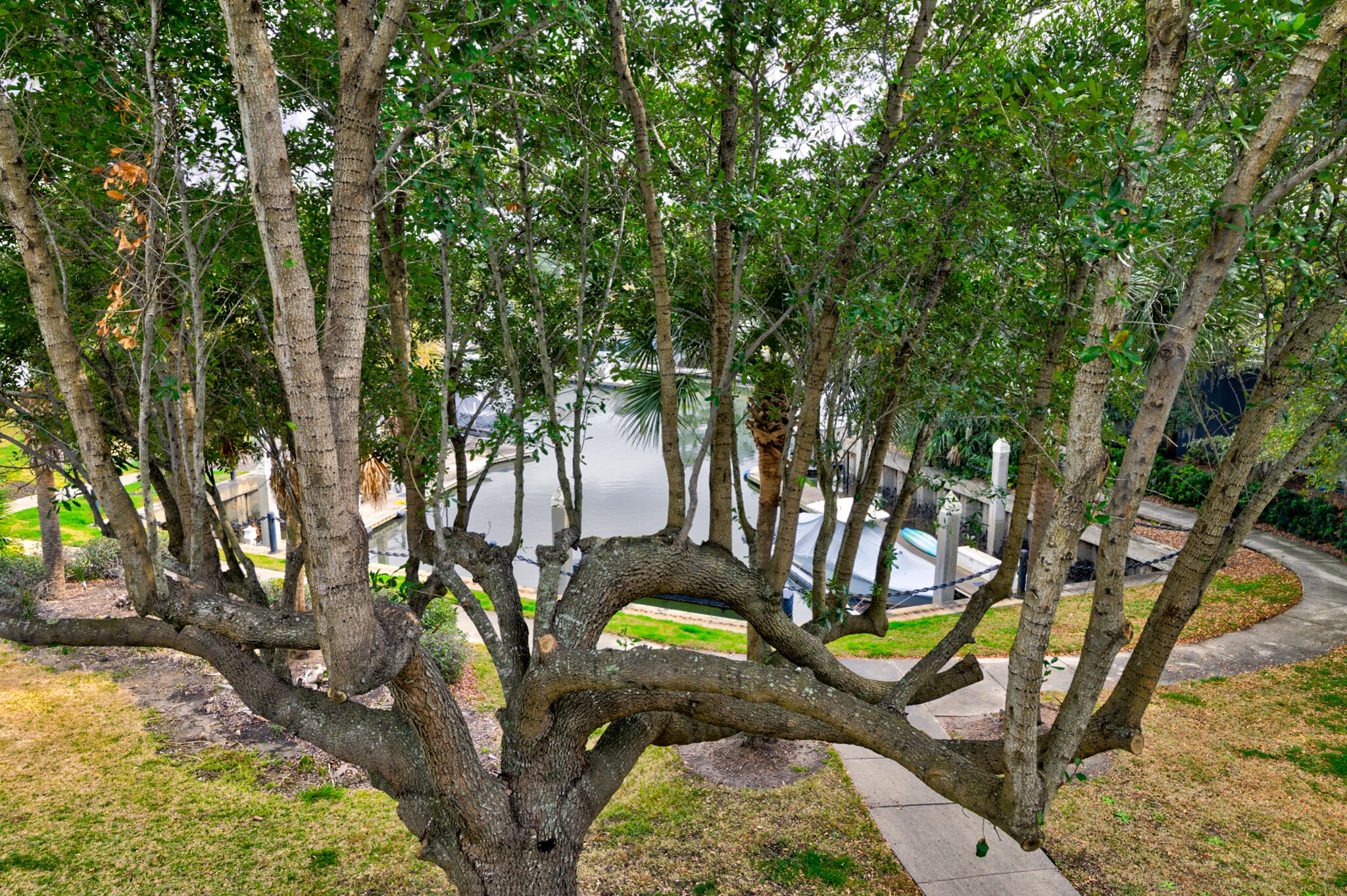 9 Transom Court Charleston, SC 29407 - Photo 36 of 61 9 Transon Ct - 43 - CMG