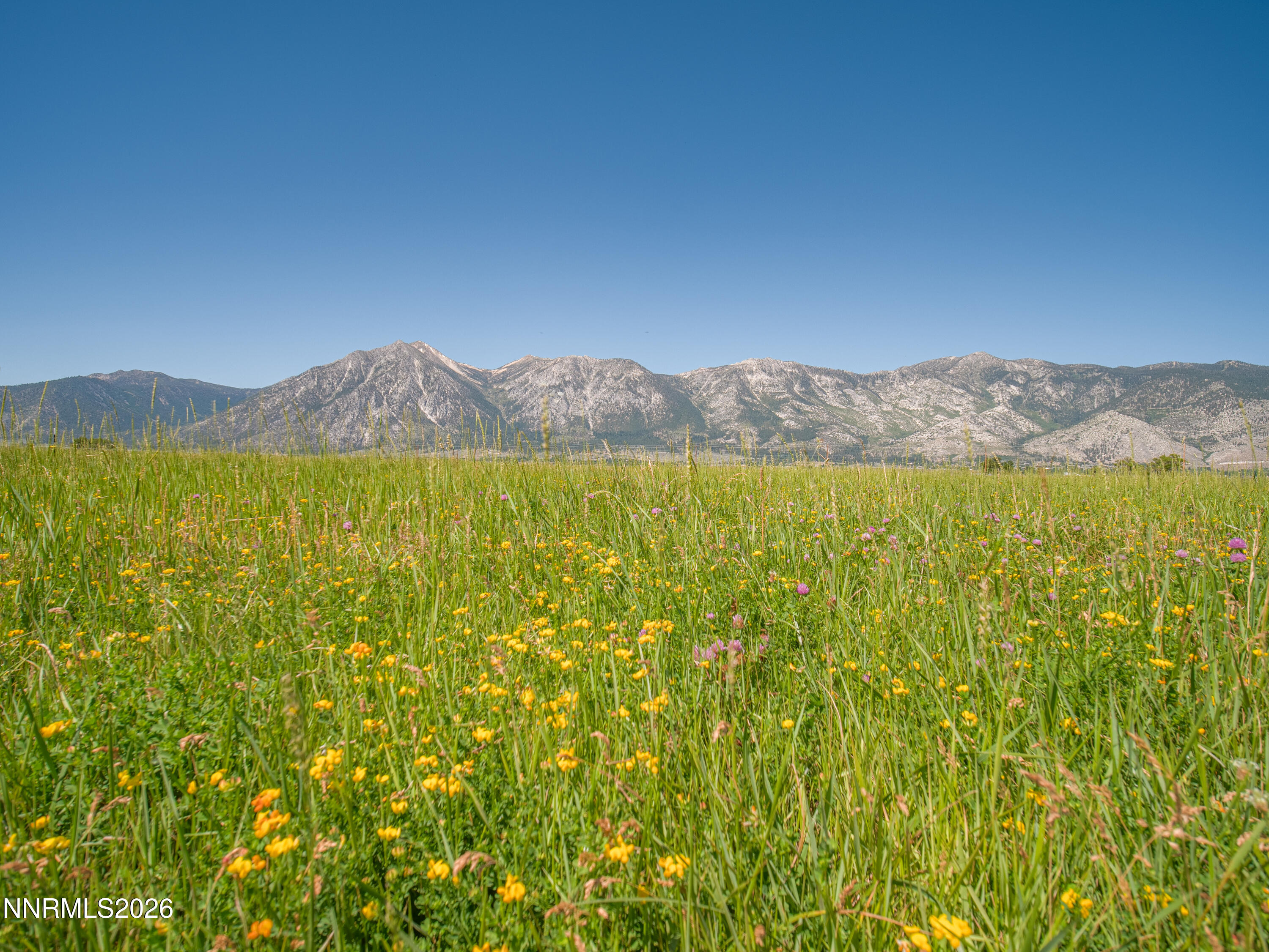 1225 Highway 88 Gardnerville, NV 89460 - Photo 13 of 25 Photo-9