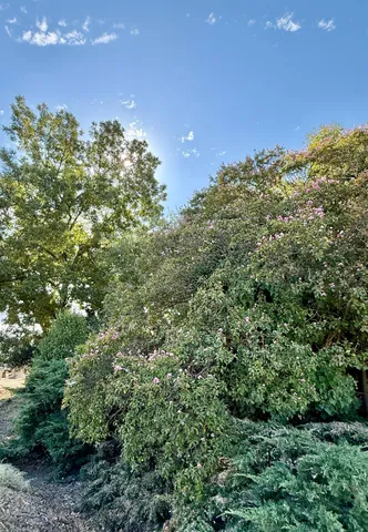 $140,000 | 0 Woodland Avenue, Esparto, CA 95627