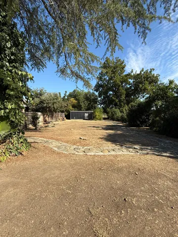 a view of a yard with plants and trees
