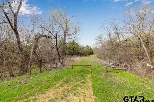 a view of yard with green space
