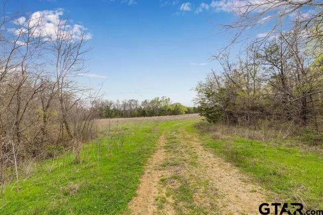 a view of a lake with a yard