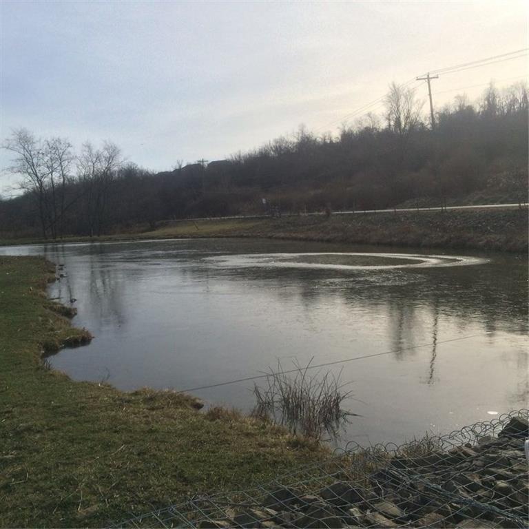 845 Seabright Road McDonald, PA 15057 - Photo 13 of 17 pond