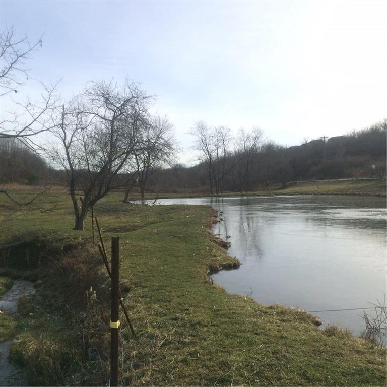 845 Seabright Road McDonald, PA 15057 - Photo 15 of 17 pond