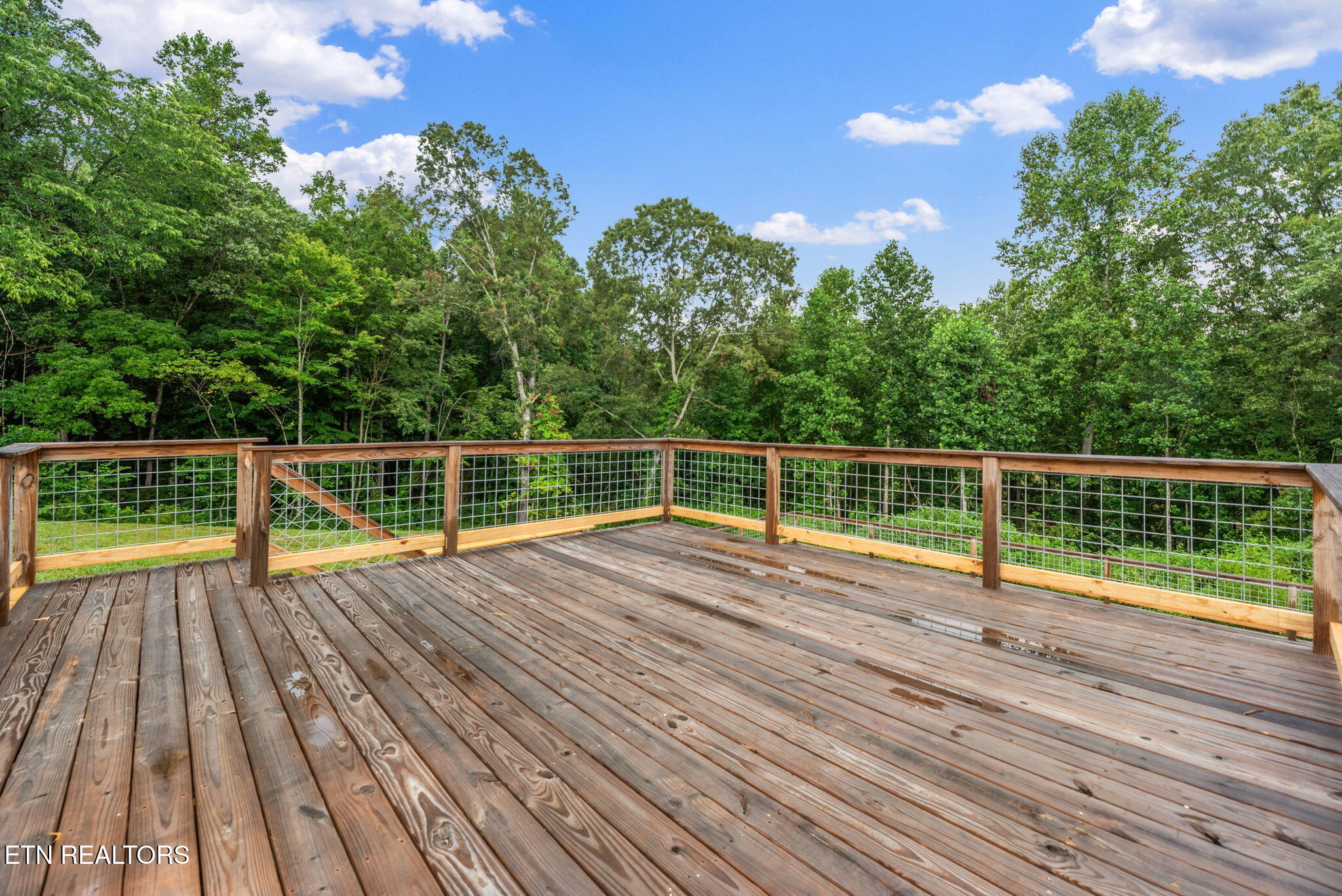9906 Heiskell Road Heiskell, TN 37754 - Photo 33 of 40 33-web-or-mls-Hskll9906 (16)
