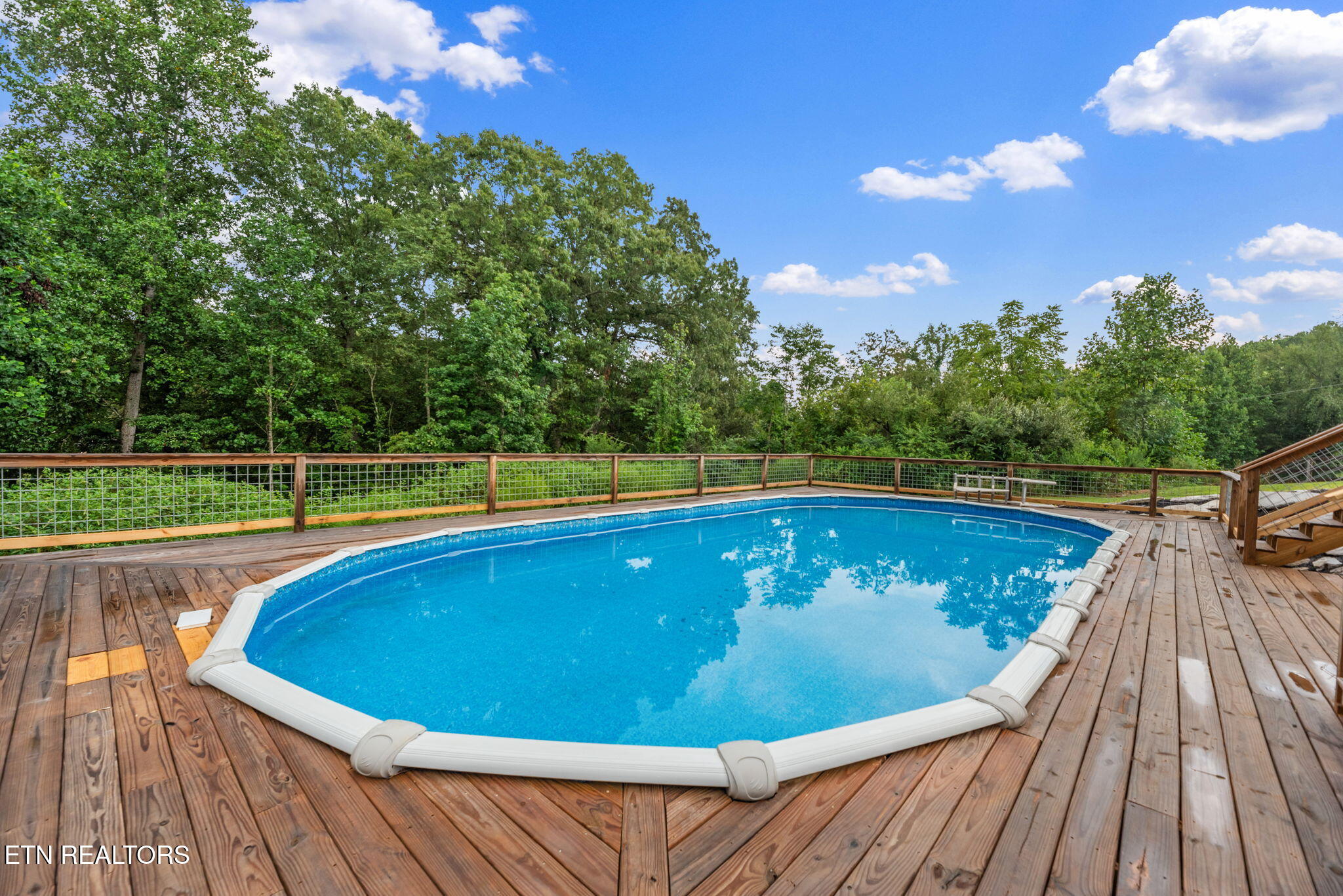 9906 Heiskell Road Heiskell, TN 37754 - Photo 35 of 40 35-web-or-mls-Hskll9906 (22)
