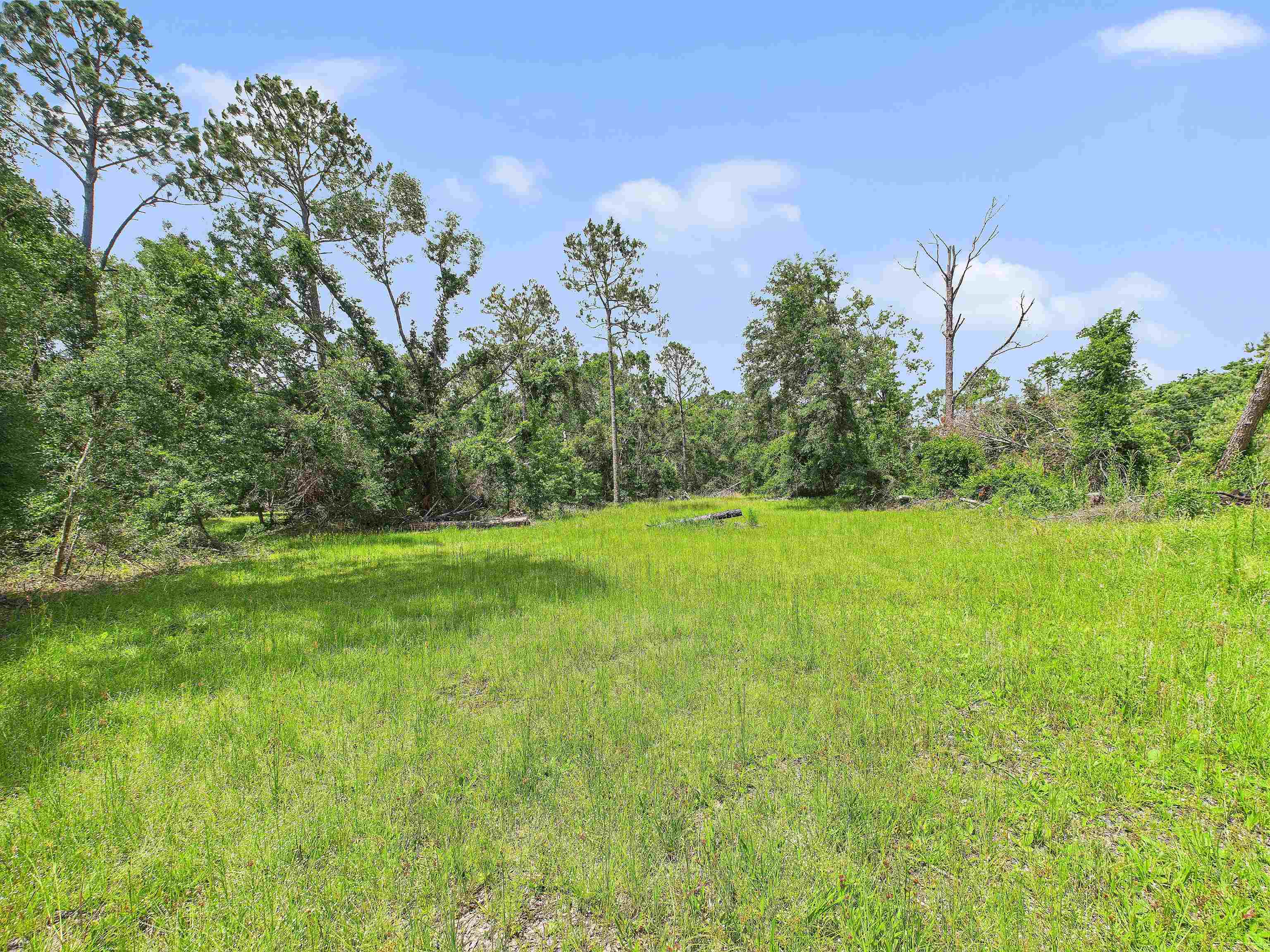 0 Beach Road Perry, FL 32348 - Photo 12 of 15 Gallery Image 12