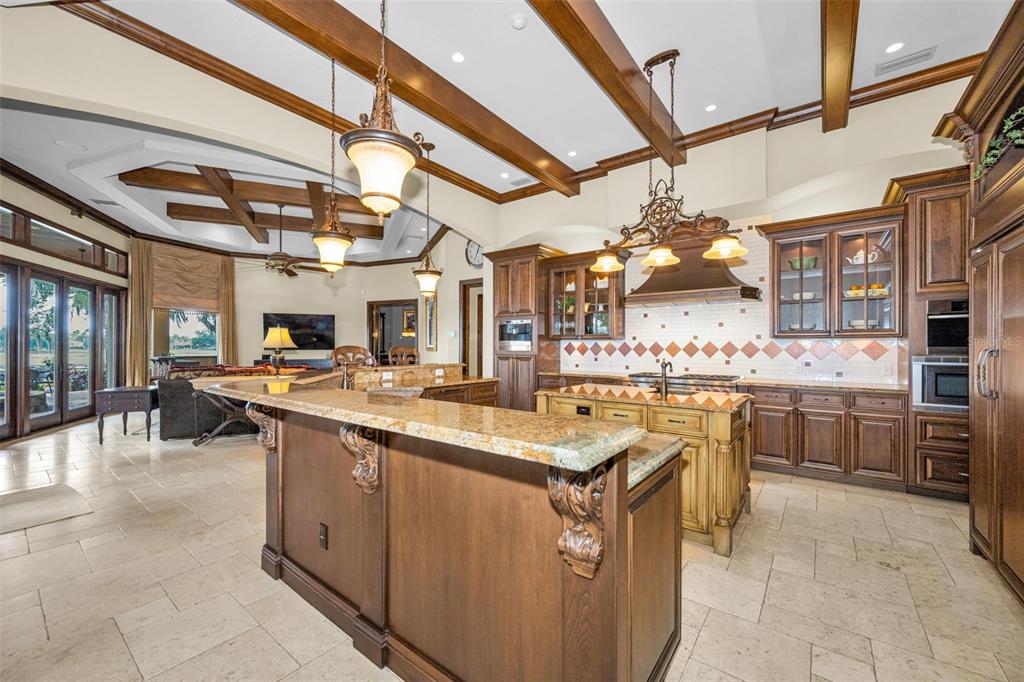 10031 Milano Drive Trinity, FL 34655 - Photo 17 of 100