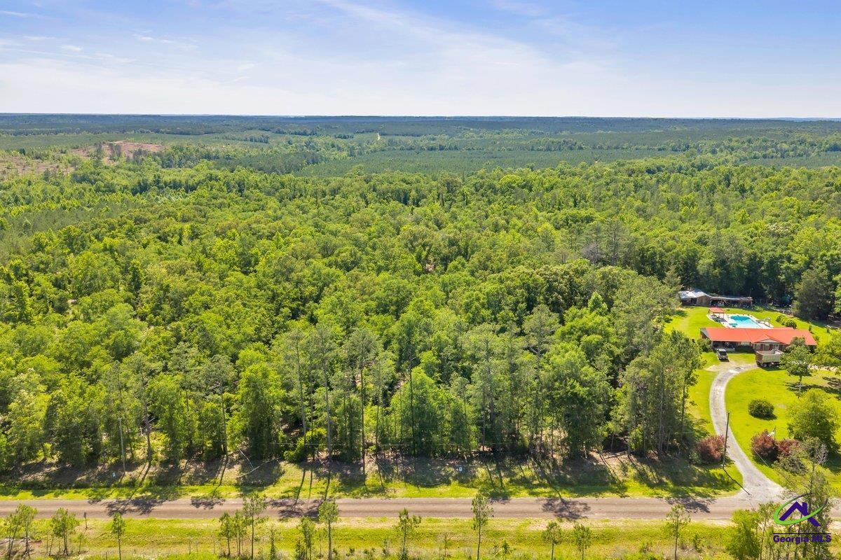 4 Everett Wood Road Oglethorpe, GA 31068 - Photo 16 of 23
