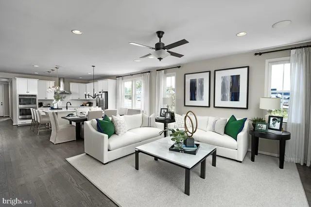 a living room with furniture kitchen view and a potted plant