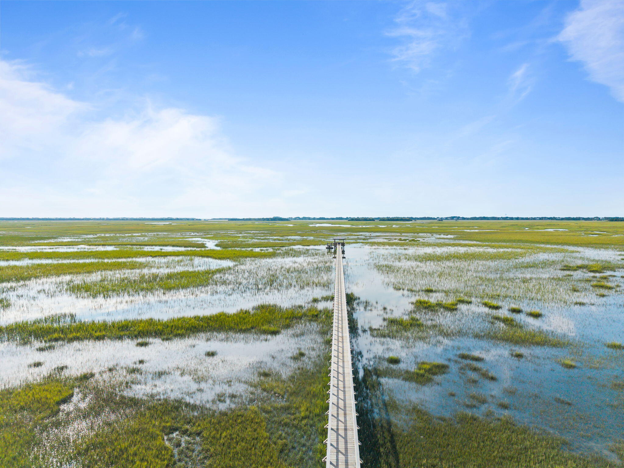 1517 Mossy Branch Way Mount Pleasant, SC 29464 - Photo 2 of 46 Closer Dock Drone