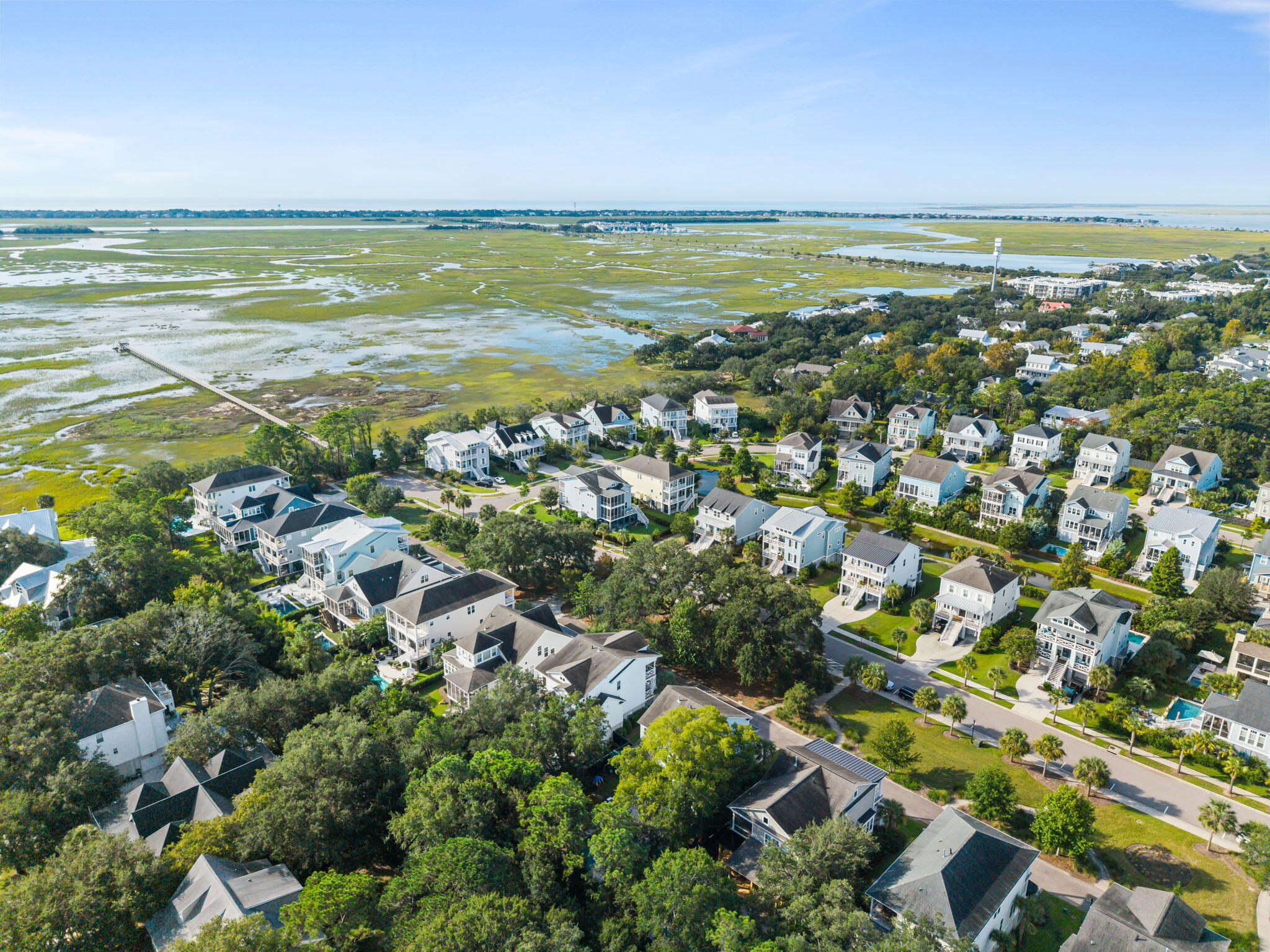 1517 Mossy Branch Way Mount Pleasant, SC 29464 - Photo 46 of 46 Drone Long Shot