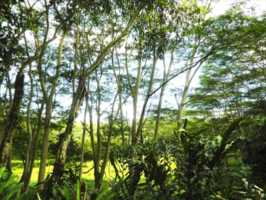 3873 Omao Road, Unit B Koloa, HI 96756 - Photo 18 of 22 Gallery Image 18