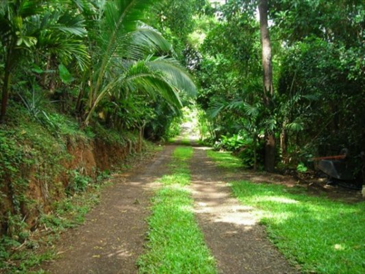 3873 Omao Road, Unit B Koloa, HI 96756 - Photo 22 of 22 Gallery Image 22