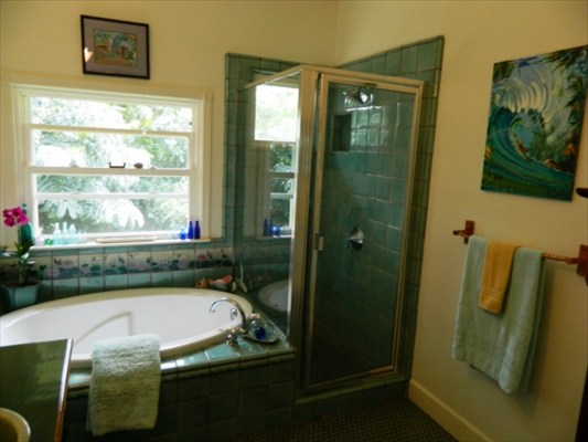3873 Omao Road, Unit B Koloa, HI 96756 - Photo 8 of 22 Gallery Image 8