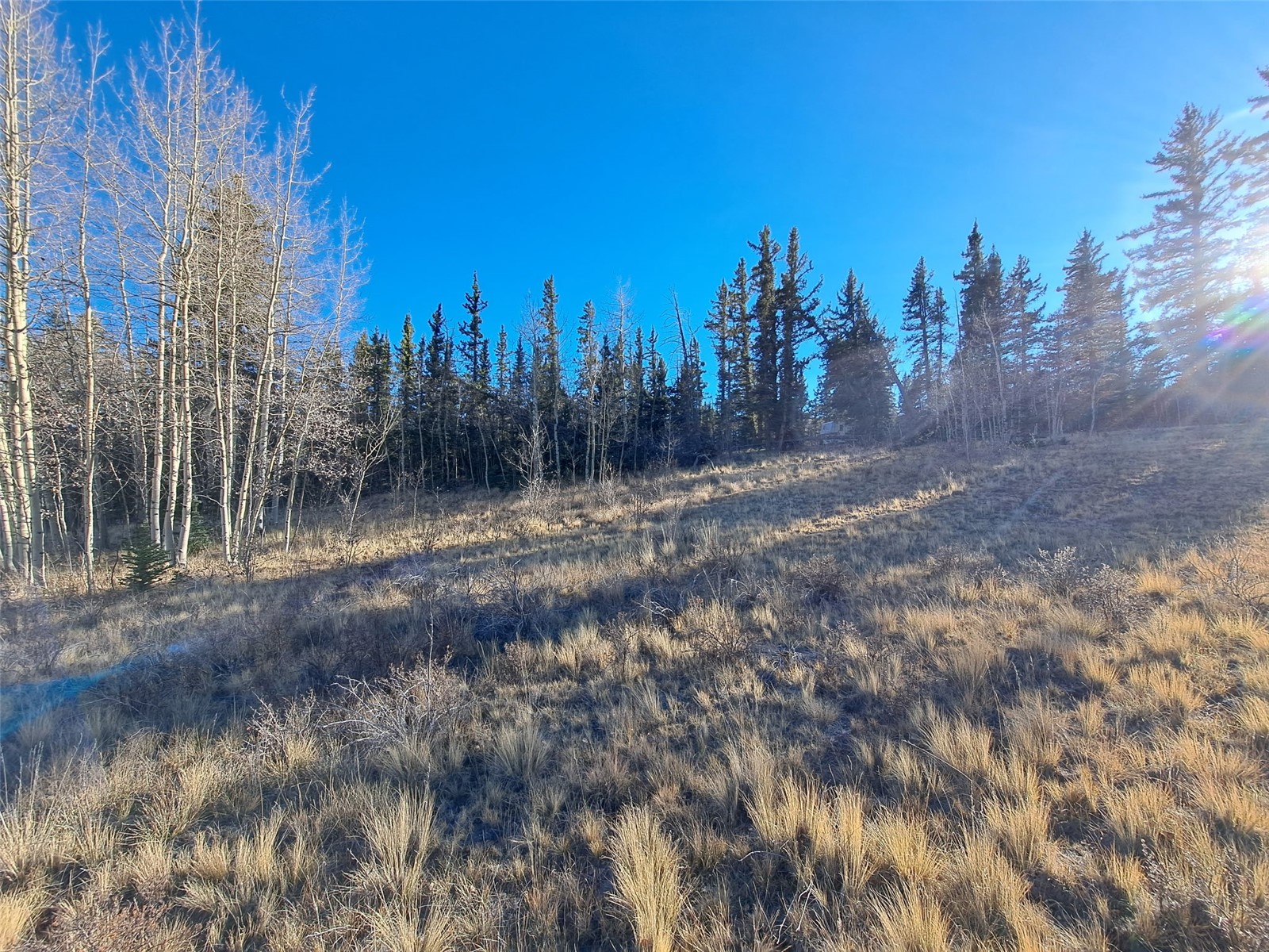 0 Hawk Way Como, CO 80432 - Photo 2 of 19 Gallery Image 2