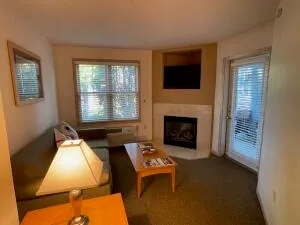 $135,900 | 123 Center Street, Unit 202, Lake Geneva, WI 53147