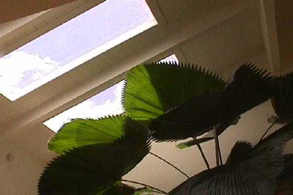 4160 Omao Road Koloa, HI 96756 - Photo 13 of 36 Gallery Image 13