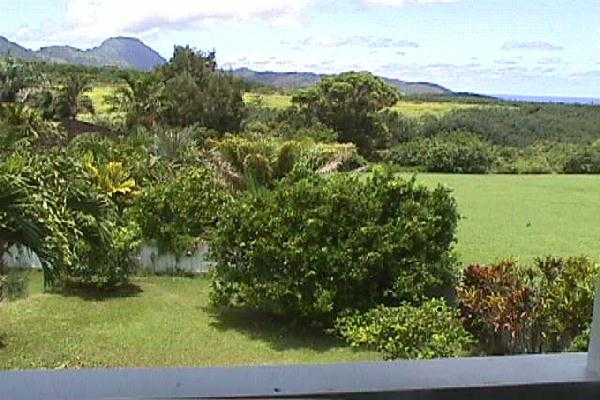 4160 Omao Road Koloa, HI 96756 - Photo 9 of 36 Gallery Image 9