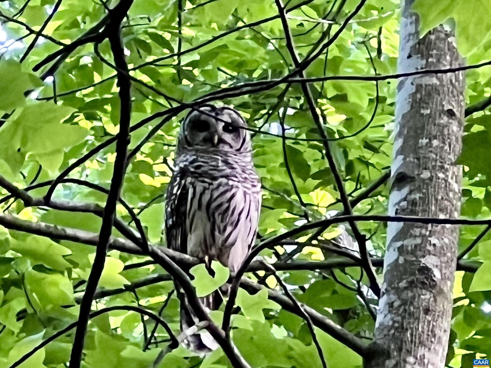 2236 Craigs Store Road Afton, VA 22920 - Photo 72 of 75