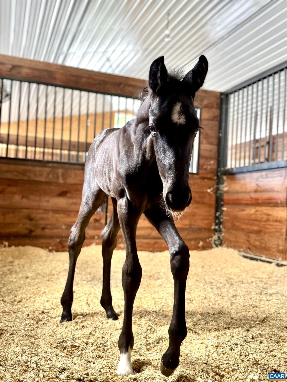 2236 Craigs Store Road Afton, VA 22920 - Photo 74 of 75