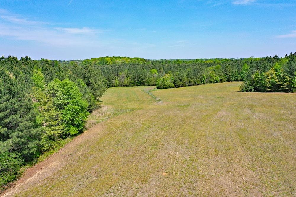 2449 Mollie Mooney Road Roxboro, NC 27574 - Photo 5 of 13 Photo 4