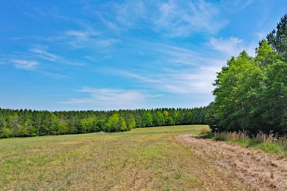 2449 Mollie Mooney Road Roxboro, NC 27574 - Photo 6 of 13 Photo 5