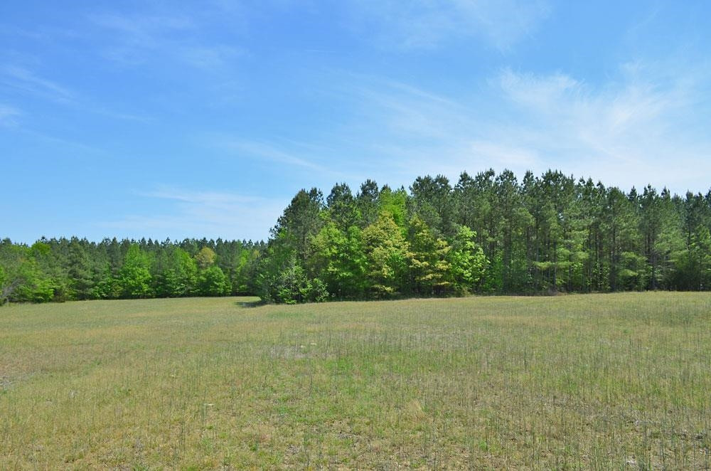 2449 Mollie Mooney Road Roxboro, NC 27574 - Photo 8 of 13 Photo 8