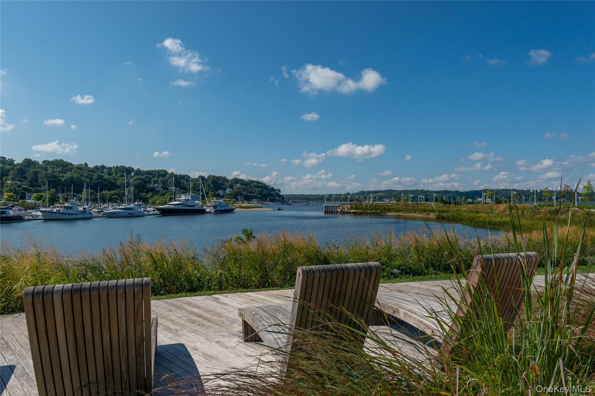 100 Garvies Point Road, Unit 1116 Glen Cove, NY 11542 - Photo 31 of 36