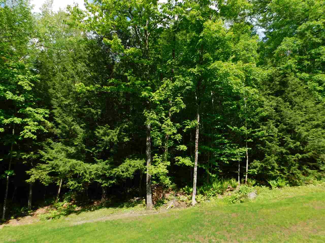 19 Round Top Road Campton, NH 03223 - Photo 25 of 36