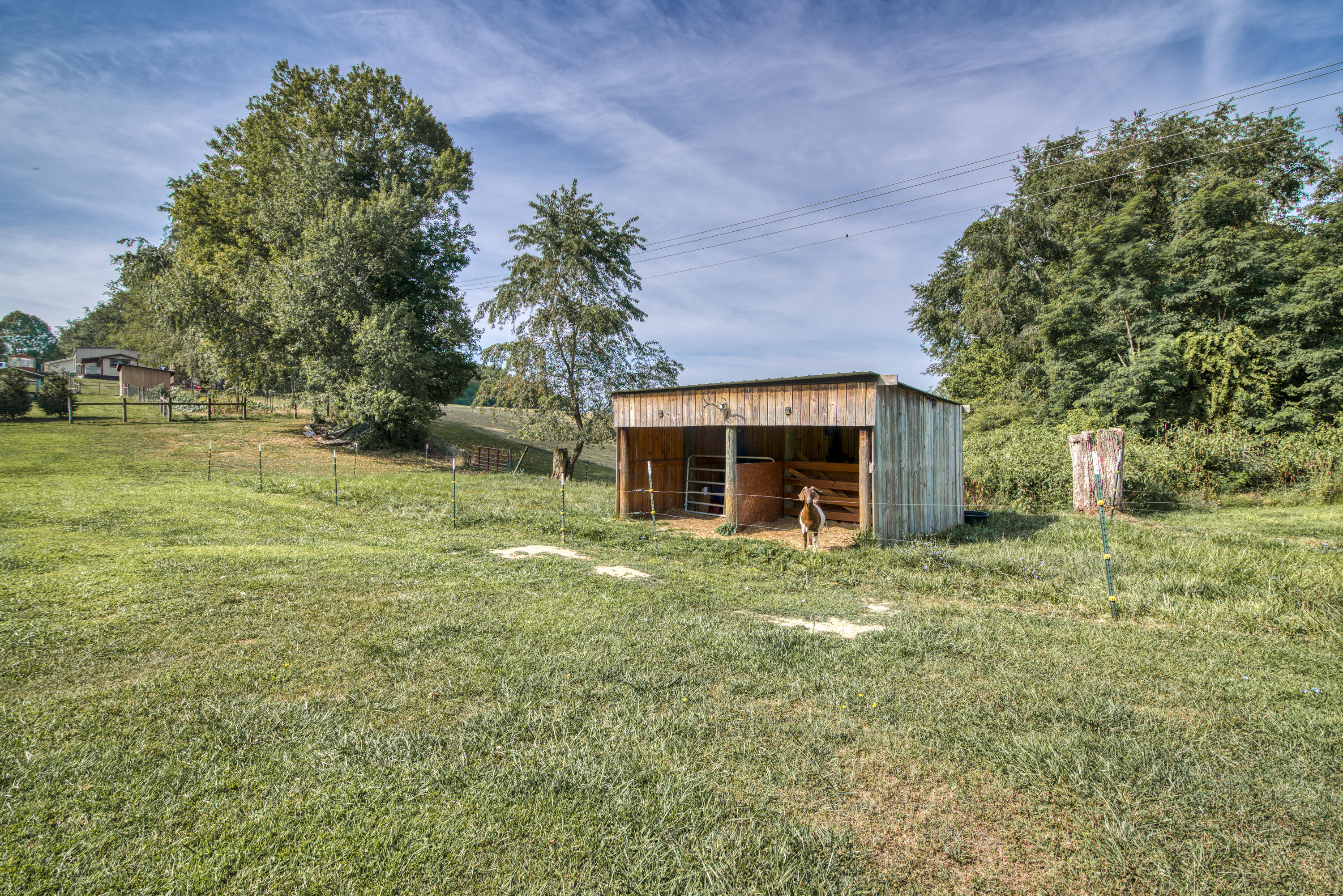 17535 Havens Rest Road Abingdon, VA 24210 - Photo 6 of 27 17535-Havens-Rest-Rd-Abingdon-VA Matt-Sm