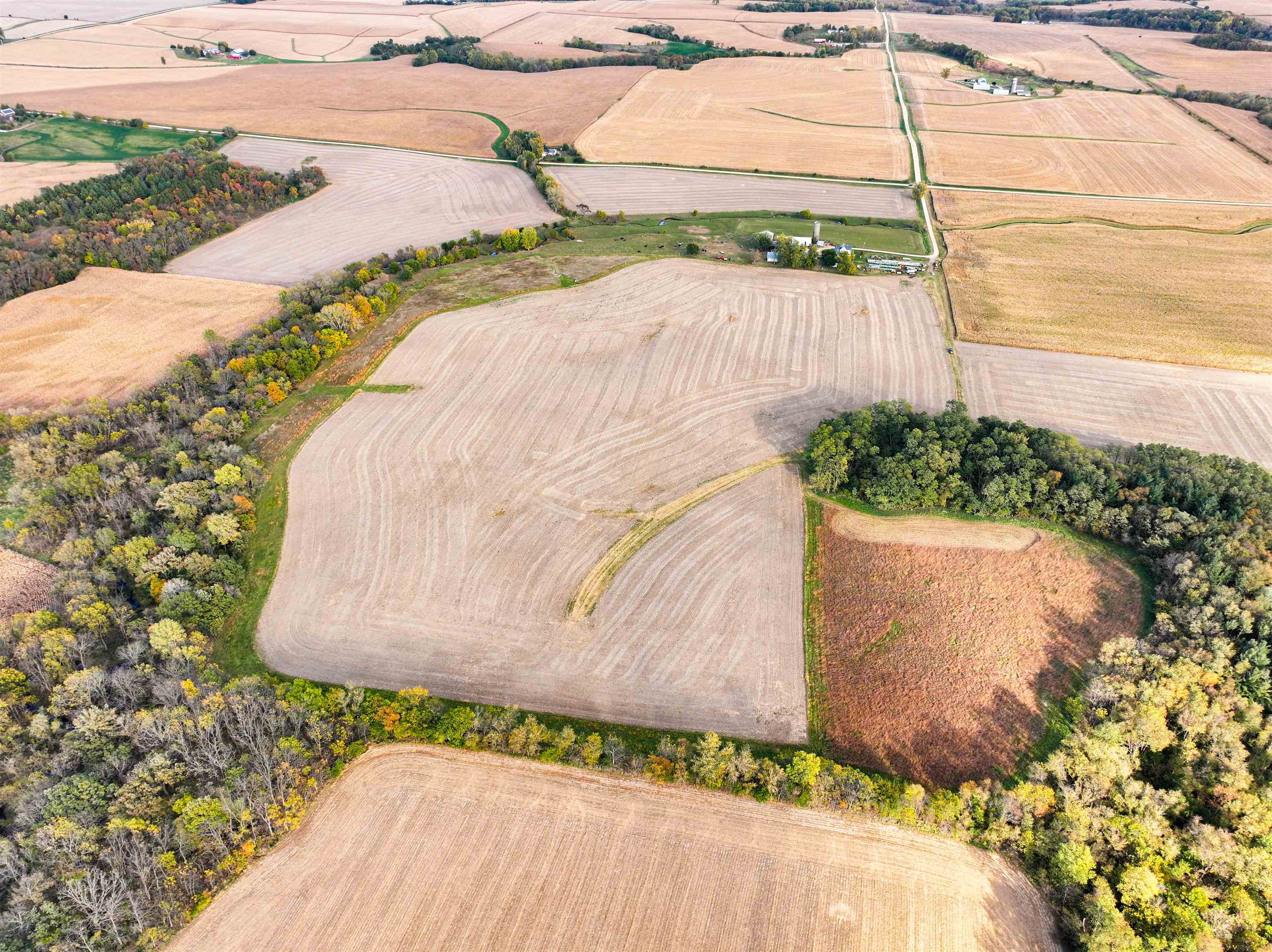 0 West Grove Road Forreston, IL 61030 - Photo 11 of 27
