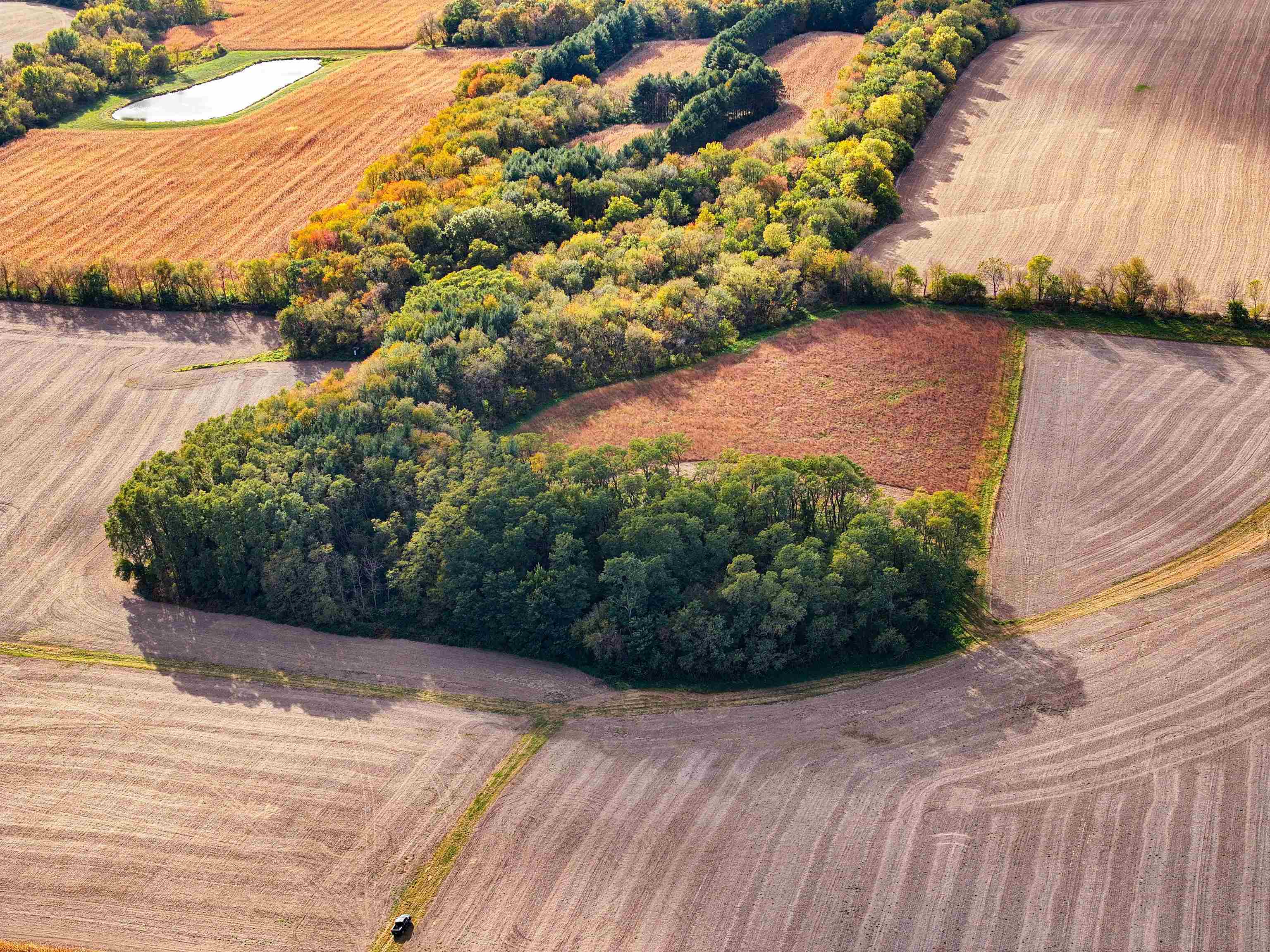 0 West Grove Road Forreston, IL 61030 - Photo 14 of 27