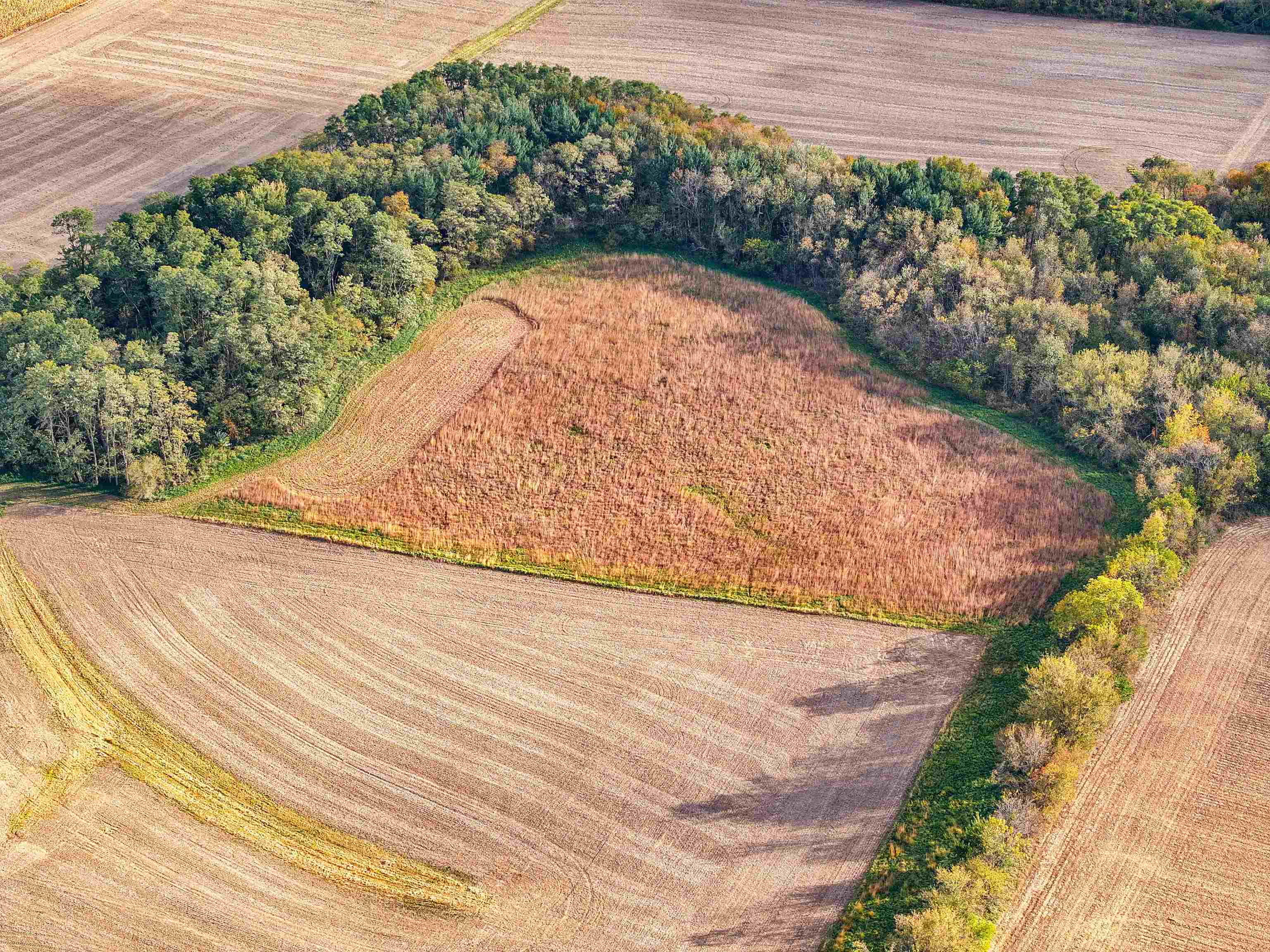 0 West Grove Road Forreston, IL 61030 - Photo 15 of 27 a view of a backyard