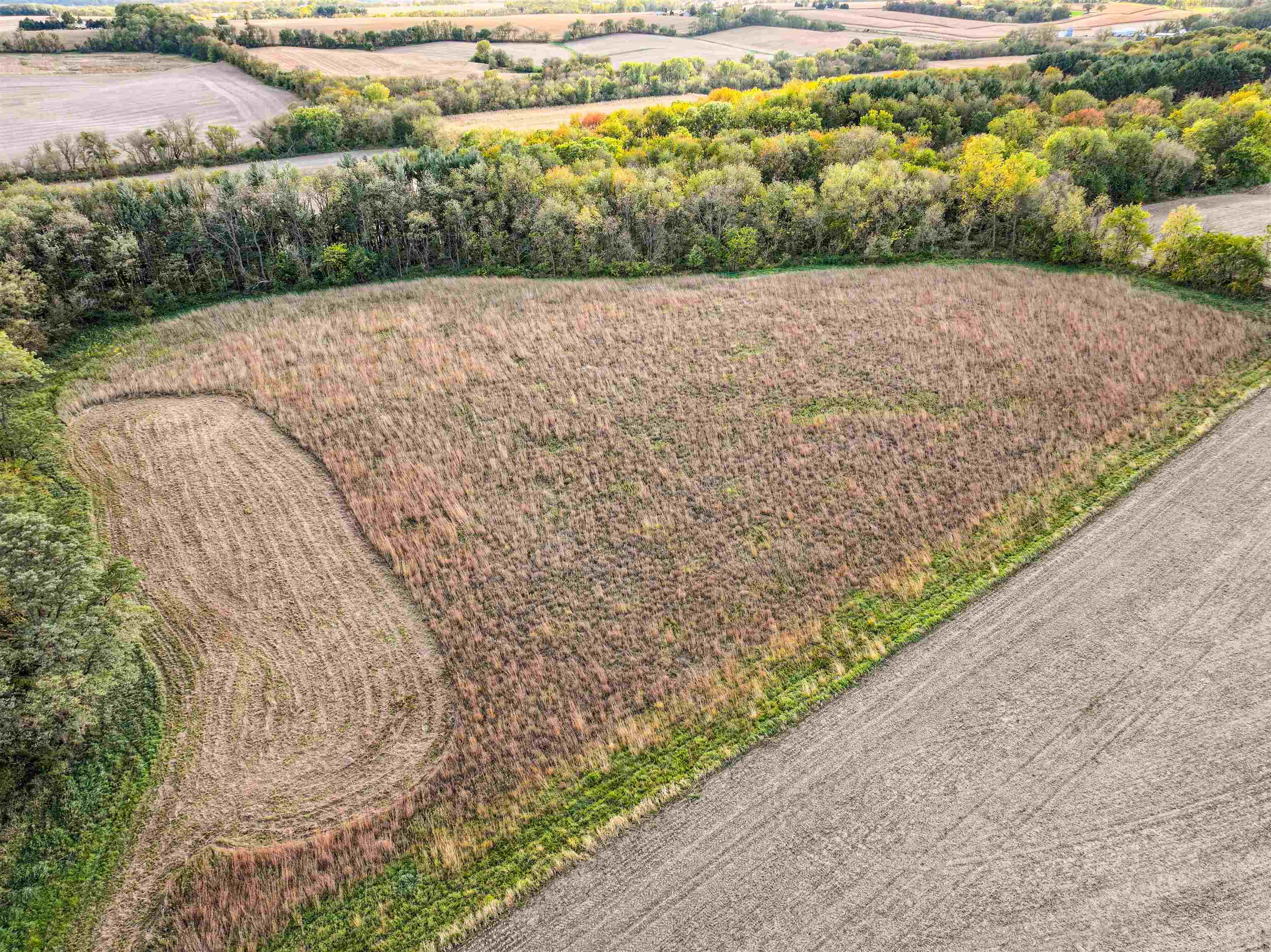 0 West Grove Road Forreston, IL 61030 - Photo 18 of 27 a view of a dry yard with wooden fence
