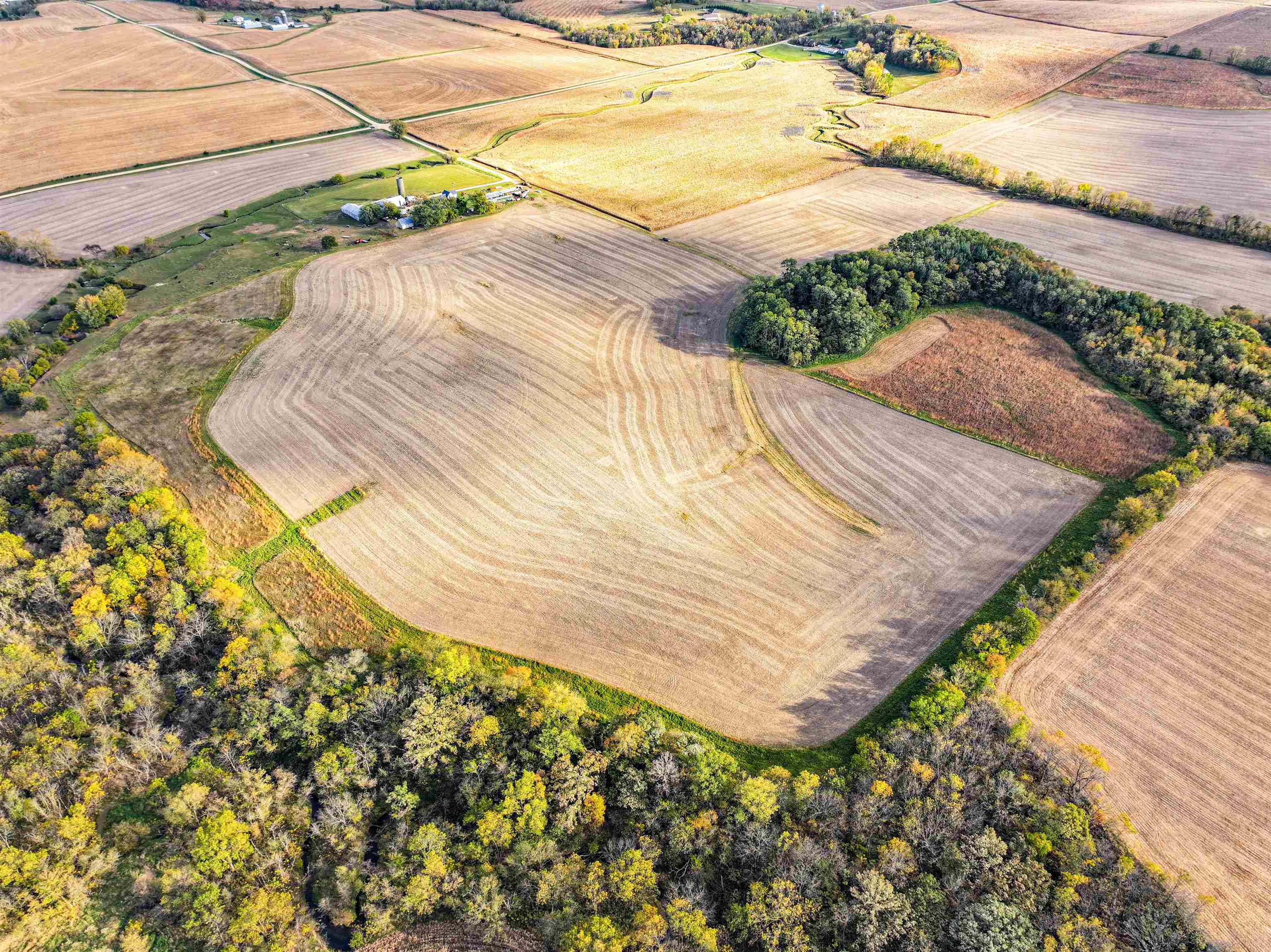 0 West Grove Road Forreston, IL 61030 - Photo 8 of 27 a view of a backyard