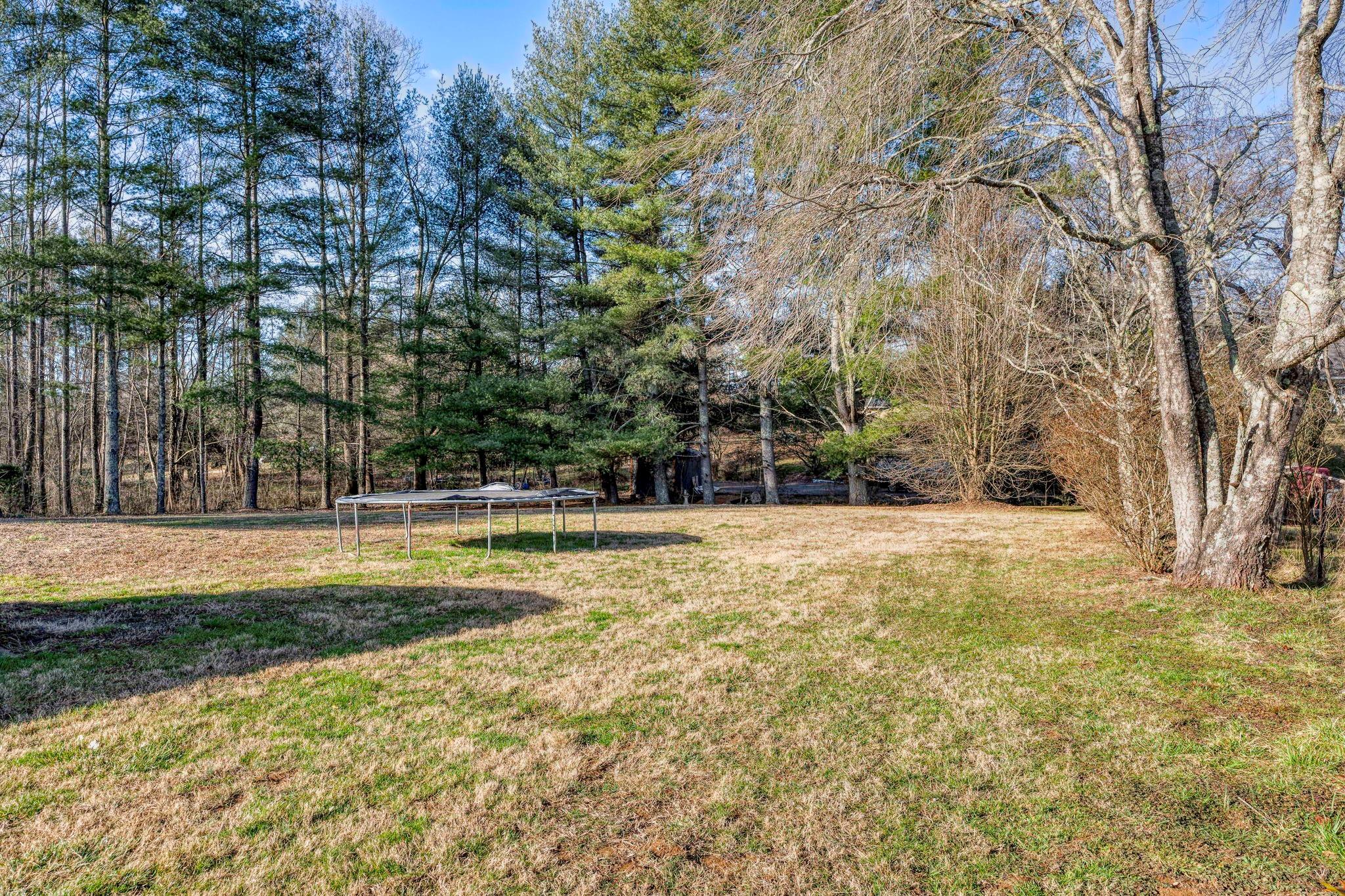 286 Banner Farm Road Mills River, NC 28759 - Photo 7 of 30 Gallery Image 7